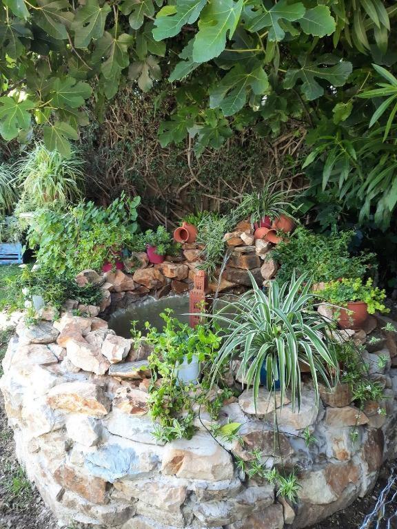Maison D Hotes Marine Ksar Sghir Εξωτερικό φωτογραφία