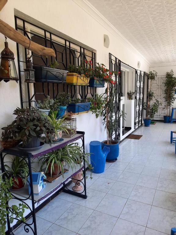 Maison D Hotes Marine Ksar Sghir Εξωτερικό φωτογραφία