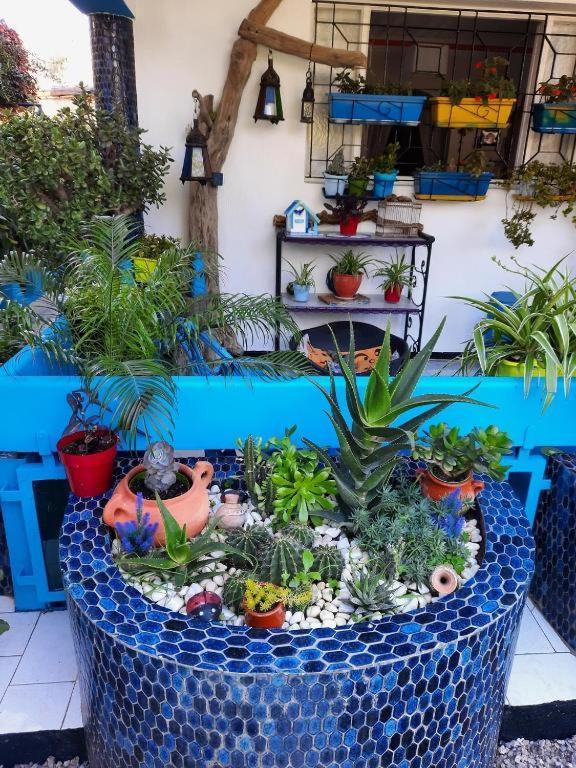 Maison D Hotes Marine Ksar Sghir Εξωτερικό φωτογραφία