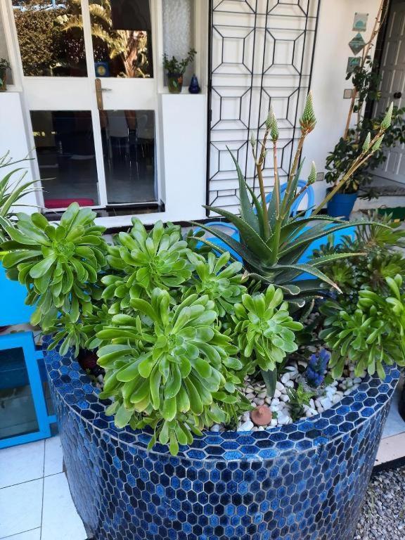 Maison D Hotes Marine Ksar Sghir Εξωτερικό φωτογραφία
