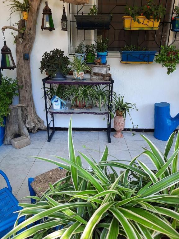 Maison D Hotes Marine Ksar Sghir Εξωτερικό φωτογραφία