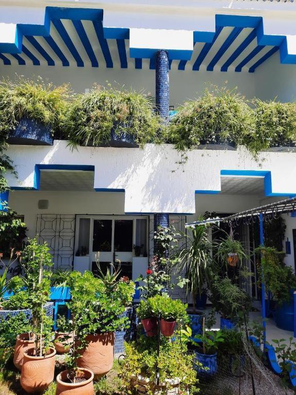 Maison D Hotes Marine Ksar Sghir Εξωτερικό φωτογραφία