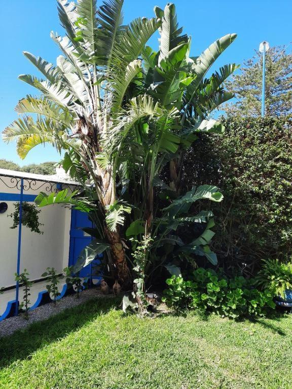 Maison D Hotes Marine Ksar Sghir Εξωτερικό φωτογραφία